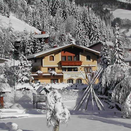Appartements Landhaus Jaeger Filzmoos Exteriör bild